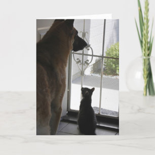 Cartão Abby With Zorro At Front Door Blank Greeting Card