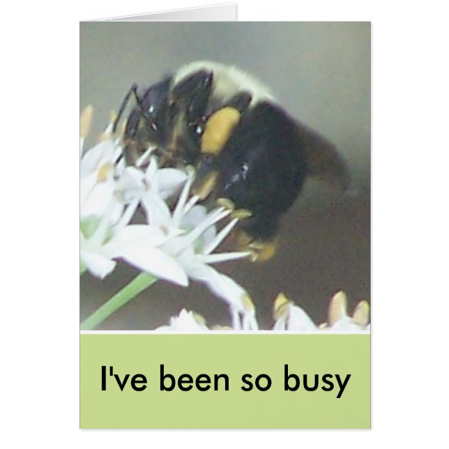 Cartão Abelha (Frente)