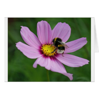Cartão abelha