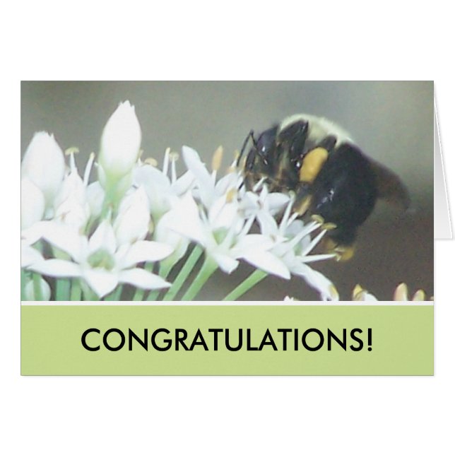 Cartão Abelha (Frente Horizontal)