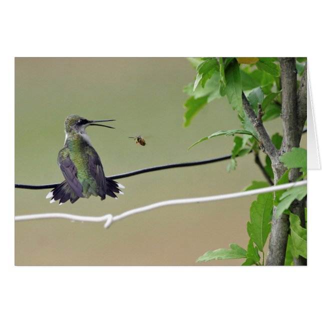 Cartão Abelha do colibri & do mel (Frente horizontal)