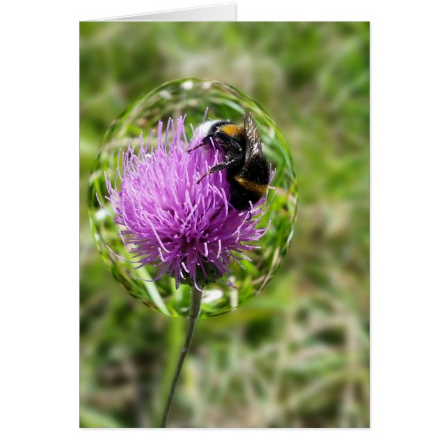 Cartão Abelha em bolha (Frente)