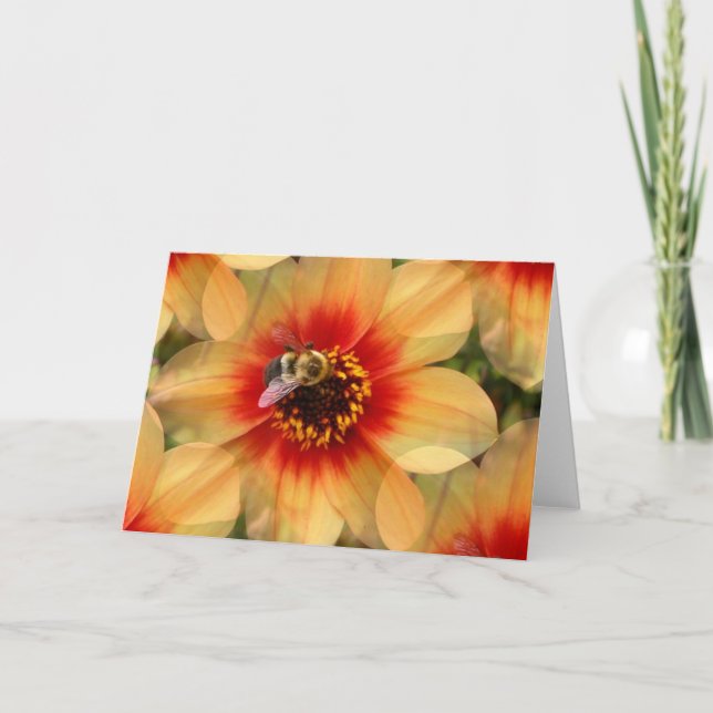 Cartão Abelha em Dahlia (Frente)