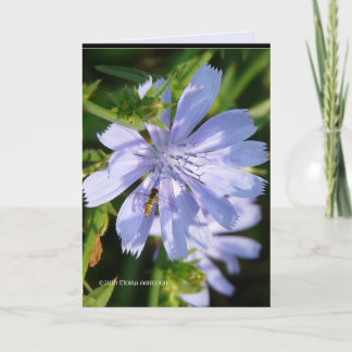 Cartão Abelha em um Wild Blu