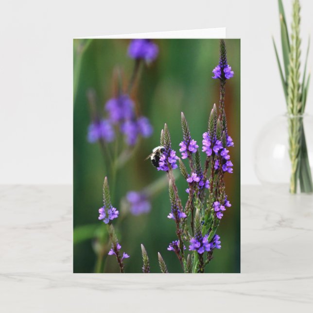 Cartão Abelha Mel (Frente)