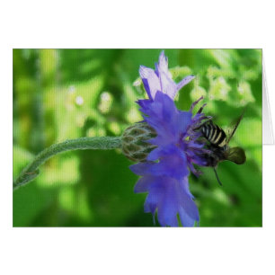 Cartão Abelha na flor do botão