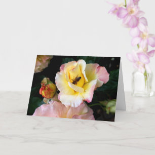 Cartão Abelha nas flores amarelas cor-de-rosa