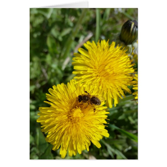 Cartão abelha no trabalho (Frente)