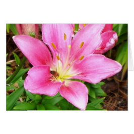 Cartão Abelha Ocupada