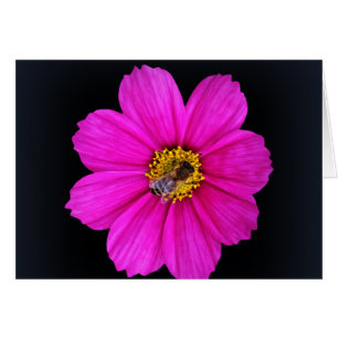 Cartão abelha trabalhadora