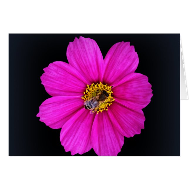 Cartão abelha trabalhadora (Frente Horizontal)