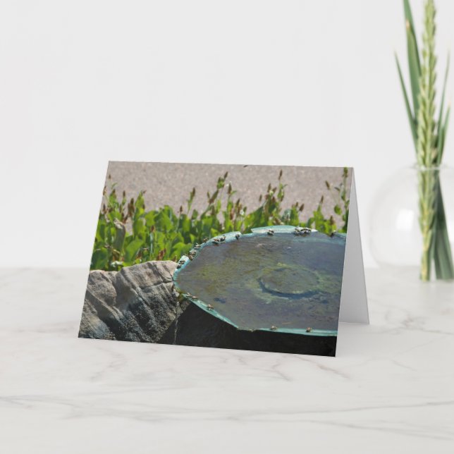 Cartão Abelhas bebendos, Phoenix, Arizona (Frente)