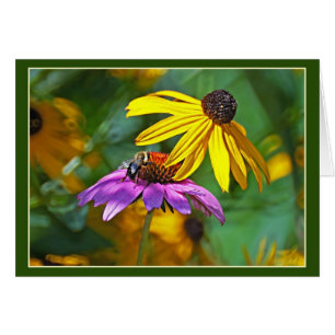 Cartão Abelhas e Blossomas