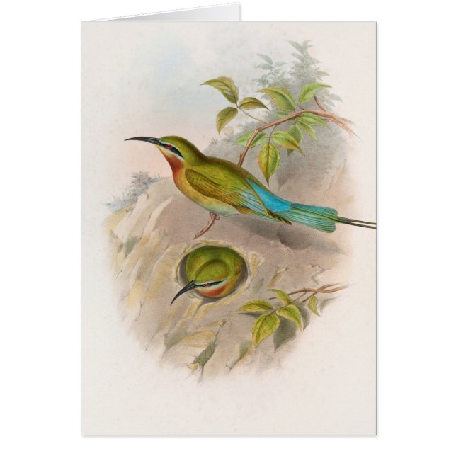 Cartão Abelhas filipinas (1850-1883) (Frente)