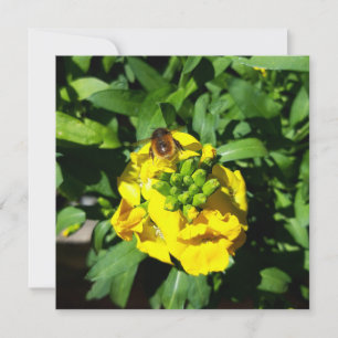 Cartão Abelhas nas Flores Amarelas