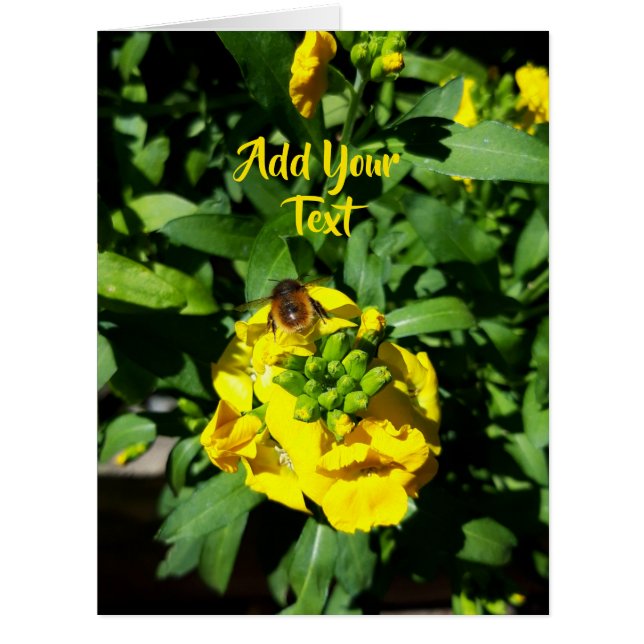 Cartão Abelhas nas Flores Amarelas (Frente)