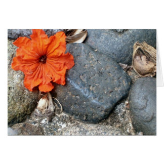 Cartão abertura de cor