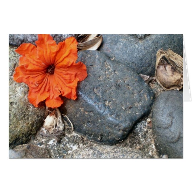 Cartão abertura de cor (Frente Horizontal)