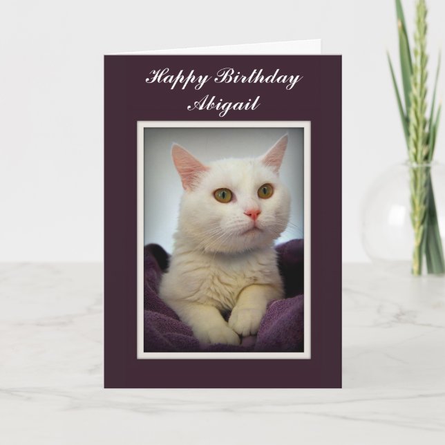 Cartão Abigail Happy Birthday White Cat Card (Frente)