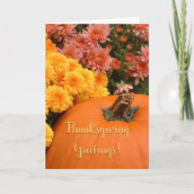 Abóbora E Chrysanthemum / Ação De Graças