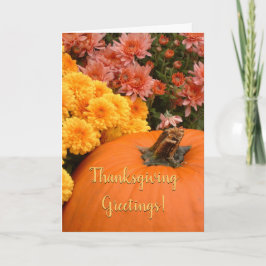 Cartão Abóbora E Chrysanthemum / Ação De Graças