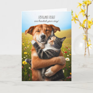 Cartão Abraços de Cura para Melhorar Gato e Cachorro Doce