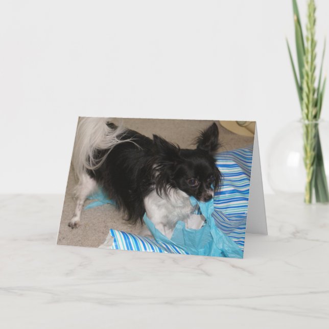 Cartão Abre os presentes! (Frente)