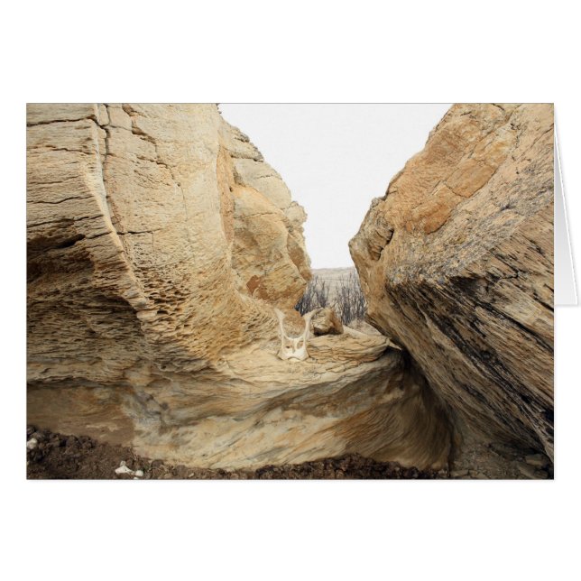 Cartão Abrir (Frente Horizontal)