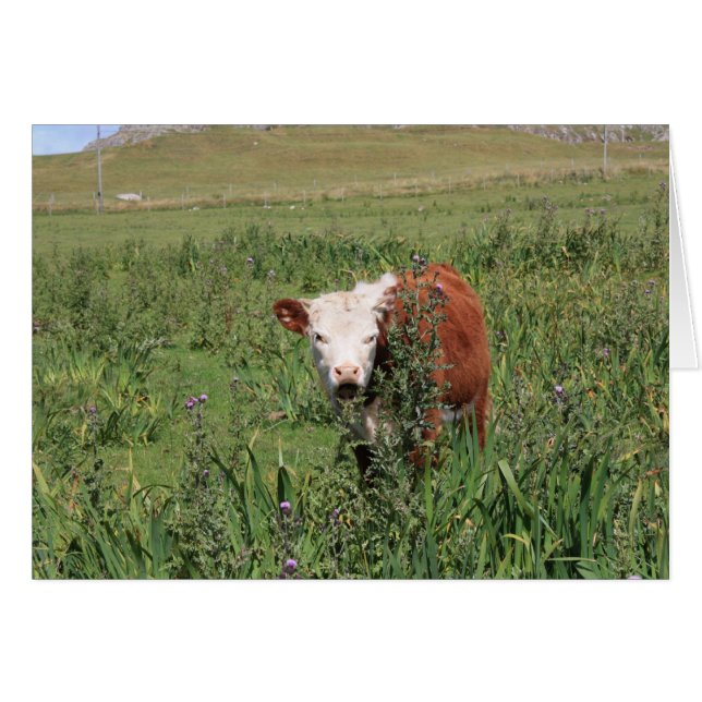 Cartão Abrir amplo (Frente horizontal)