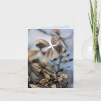 Cartão Abstract Hydrangea