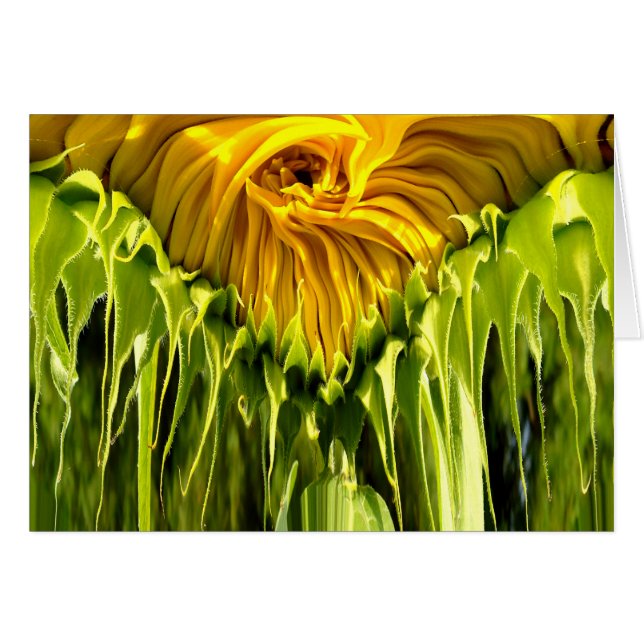 Cartão Abstrato funky retro Girassol, geometria assustada (Frente Horizontal)