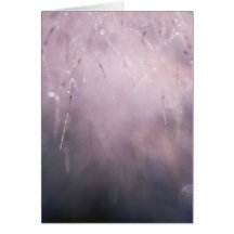 Abstrato Grass Dew Drop Blue Brown Background