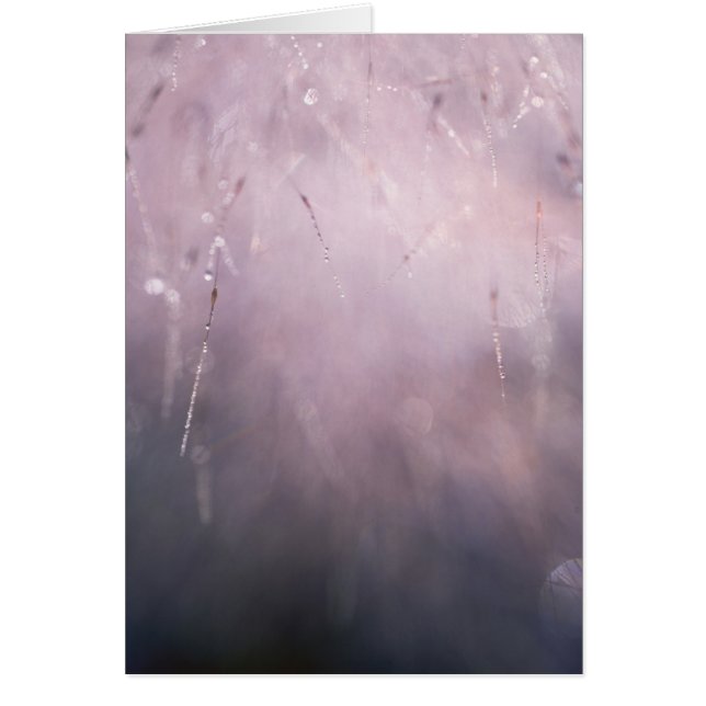 Cartão Abstrato Grass Dew Drop Blue Brown Background (Frente)