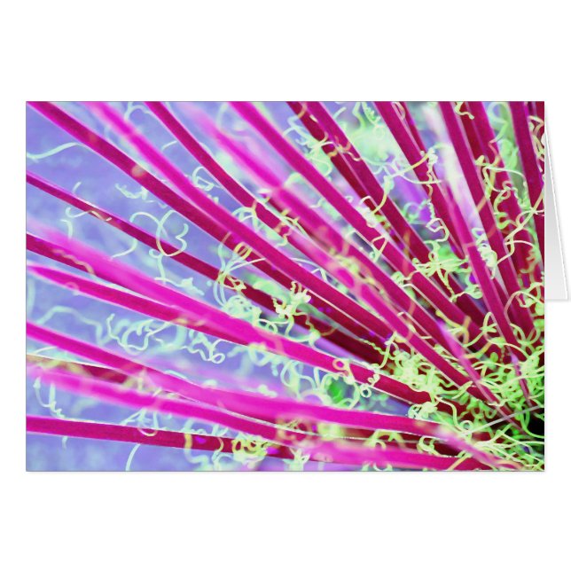 Cartão Abstrato Vermelho Yucca Psychedelic (Frente Horizontal)