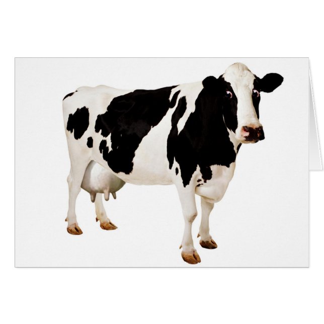 Cartão Absurdo da teta (Frente Horizontal)