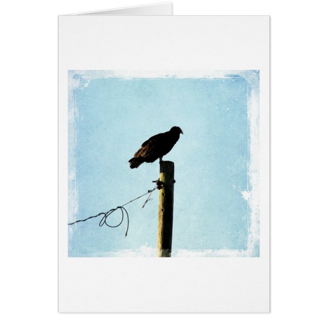 Cartão Abutre (Frente)