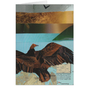 Cartão Abutre de turquia