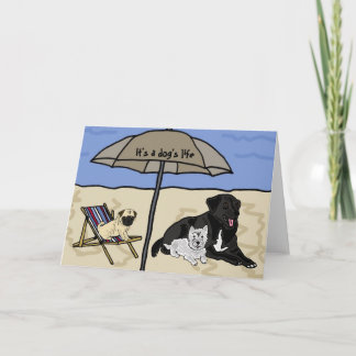 Cartão AC- It's a Dog's Life Notecards
