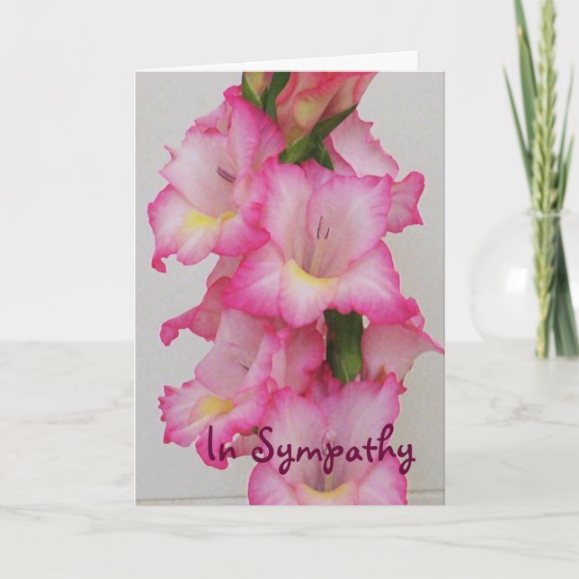 Cartão AC- Pink Gladiolas Floral Sympathy Card (Frente)