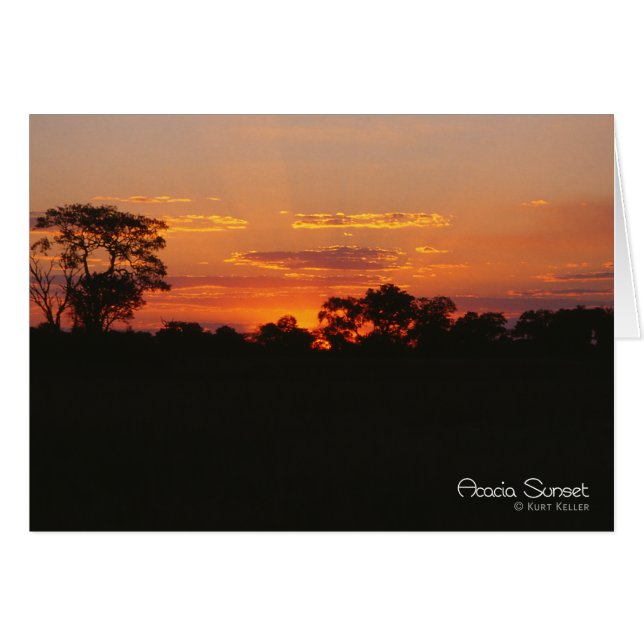 Cartão Acacia Sunset (Frente Horizontal)