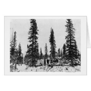 Cartão Acampamento de neve a norte do Círculo Ártico