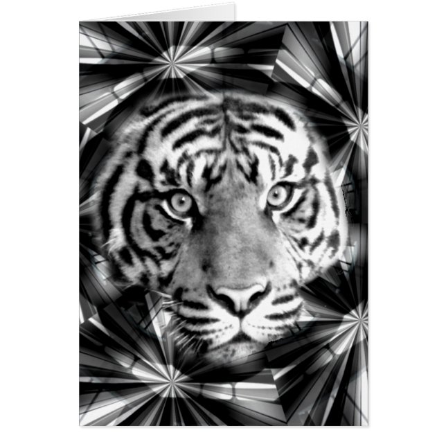 Cartão Aceitando - (Frente)