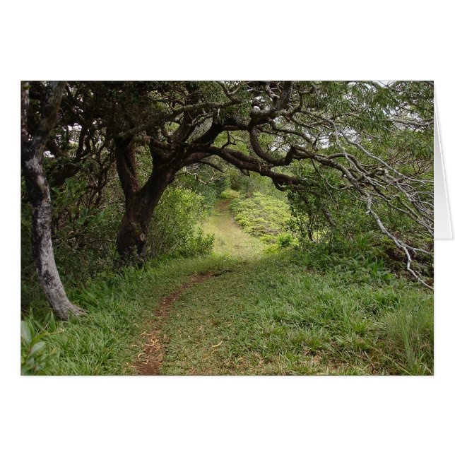 Cartão Acima de Manoa (Frente Horizontal)