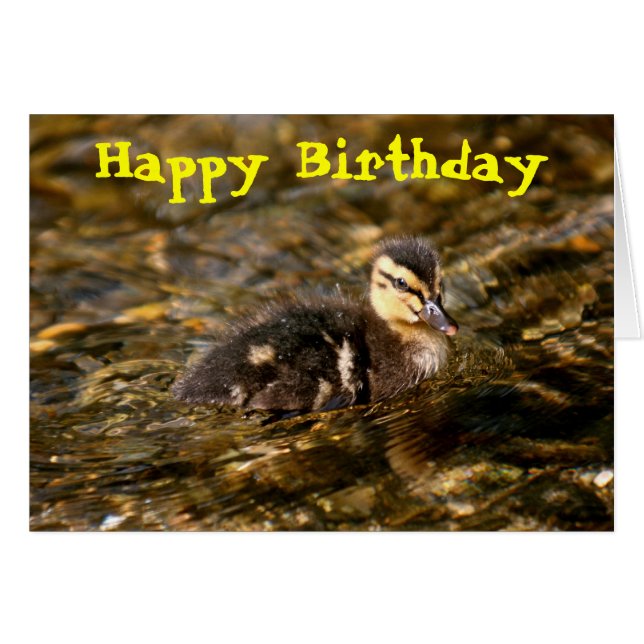 Cartão Acoplamento (Frente Horizontal)