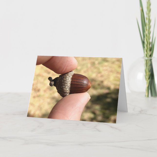 Cartão Acorn (Frente)