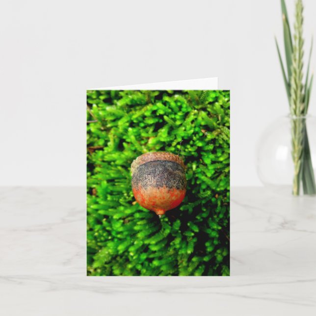 Cartão Acorn & Moss Notecard (Frente)