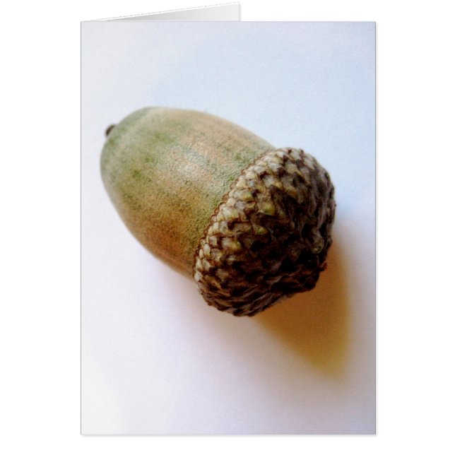 Cartão Acorn Seed (Frente)