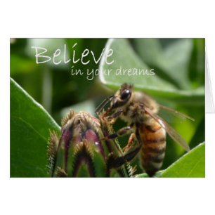 Cartão Acredite em seus sonhos