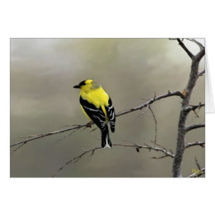 Cartão Acredite sempre em o senhor mesmo