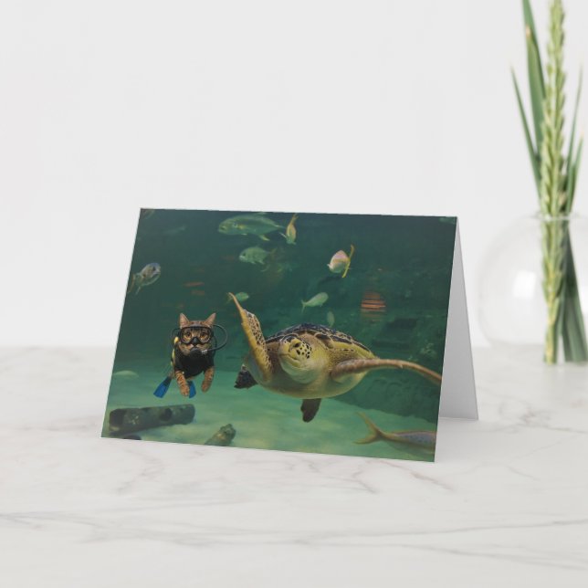 Cartão Action Cats! Card (Frente)